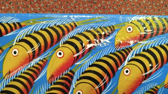 Plave ryba okolo 60x60